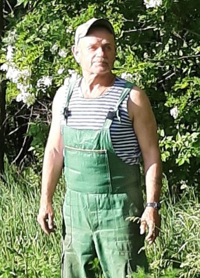 Андрей Лукашов, 58, Россия, Курск