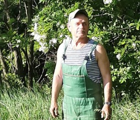 Андрей Лукашов, 58 лет, Курск