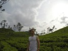 Anatoly, 36 - Только Я Шри-Ланка, чайные плантации