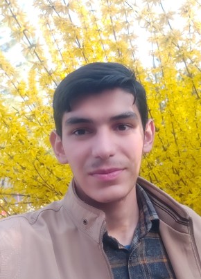 Amir, 20, كِشوَرِ شاهَنشاهئ ايران, تبریز