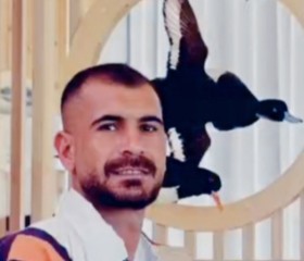 Jamal, 28, Copenhagen