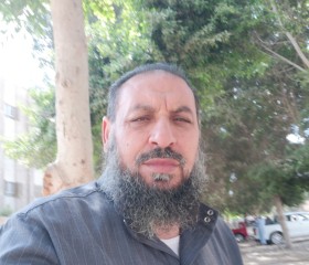 الاسد, 50, Cairo