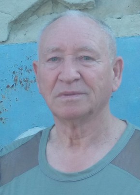 aleksandr, 73, Россия, Красноармейск (Саратовская обл.)