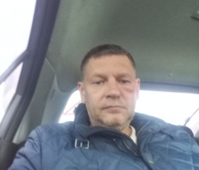 Дмитрий, 53 года, Томск