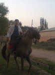 Рустам, 42 года, Душанбе