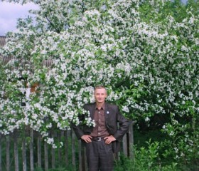 Ник, 70 лет, Сыктывкар