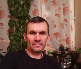 Григорий, 47 лет, Лесозаводск