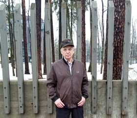 Александр, 64 года, Москва