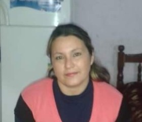 Nancy Roxana, 47 лет, Ciudad de La Santísima Trinidad y Puerto de Santa María del Buen Ayre
