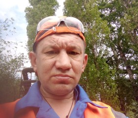Аркадий жуков, 51 год, Липецк