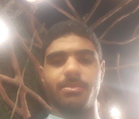 EL HOMAM, 18, Cairo