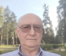 Владимир, 74 года, Монино