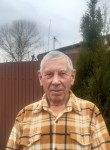 Сергей, 75 лет, Белгород