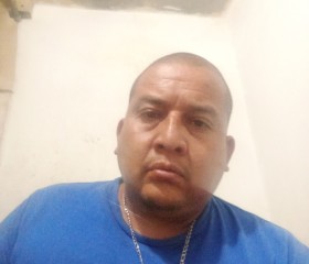 Mario Marquez, 40 лет, San Nicolás de los Garzas