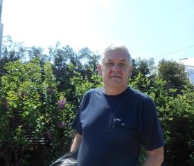 Григорий, 72 года, Мытищи
