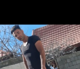 Majid.iran, 36, Tehran