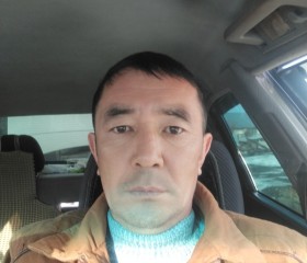 Мелис, 48 лет, Алматы
