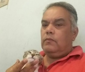 hugo García, 56 лет, Santa Catarina