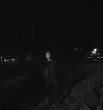 Антон