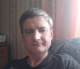 Владимир Ильин, 44 года, Заводоуковск
