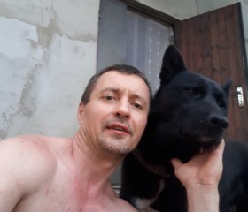 Veaceslav PVS, 39 лет, Chişinău