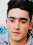 Selahaddin Eyyub, 19 лет, Ankara