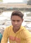 Akhilesh, 19 лет, Faizābād