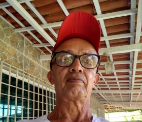Izaildo luis, 65 лет, Abreu e Lima