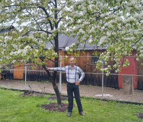 Damir, 64, Moscow