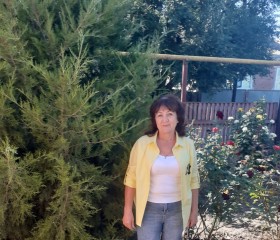 Лариса, 60 лет, Сальск