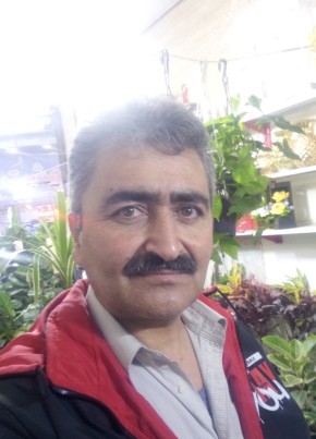 Mahmood, 48, كِشوَرِ شاهَنشاهئ ايران, مشهد