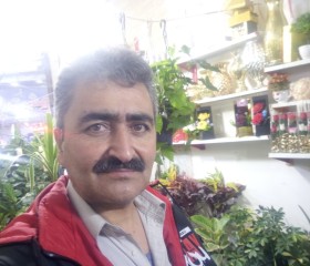 Mahmood, 48 лет, مشهد