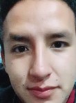 andres, 29 лет, Cuenca