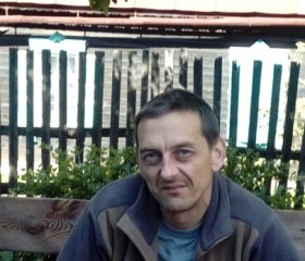 Виталий, 46 лет, Саратов
