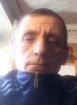 Андрей  Медвед, 50 лет, Кольчугино