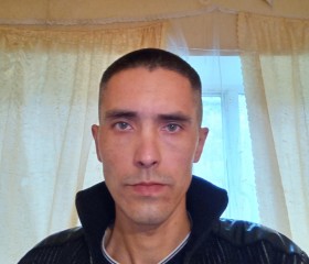 Тимур, 41 год, Йошкар-Ола