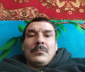 Дима, 43 года, Людиново