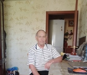 Анат, 79 лет, Дзержинск