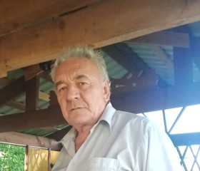 Иван, 71 год, Магілёў
