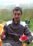 Роберт, 54 года, Казань