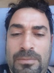 محمدابو العسل, 38 лет, رام الله
