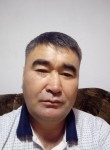 Ақиқат, 43 года, Қызылорда