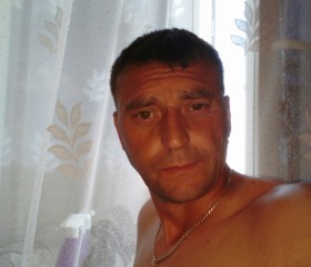 игорь, 43 года, Грибановский