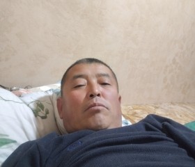 Канат, 47 лет, Бишкек