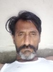 Shakeel, 43 года, لاہور