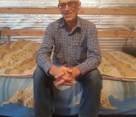 Борис, 71 год, Саратов