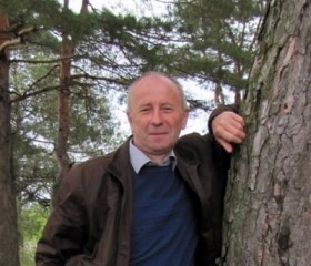 Сергей, 59 лет, Калининск