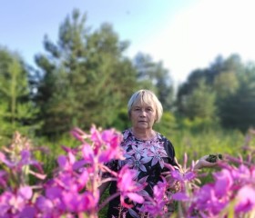 Lyudmila, 67, Shenkursk