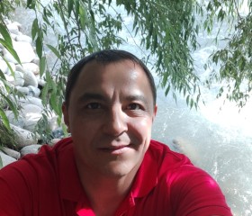 Амир, 39 лет, Бишкек