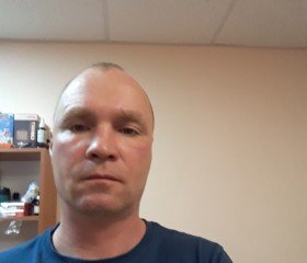 Дмитрий, 41 год, Кинешма